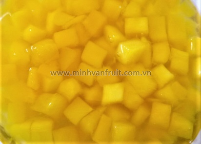 Canned Mango Dices 1