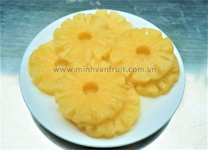 Canned Pineapple Slices 1