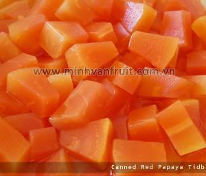 Canned Red Papaya Tidbits 1