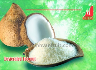 Desiccated Coconut 1