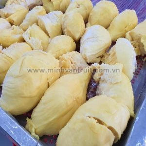 Frozen Durian Pulp with Seeds 1