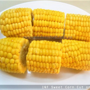 Frozen Sweet Corn Cob 1
