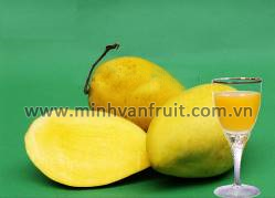 Mango Puree 1
