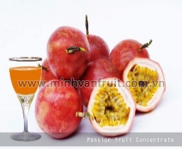 Passion Fruit Juice Concentrate 50 Brix 1
