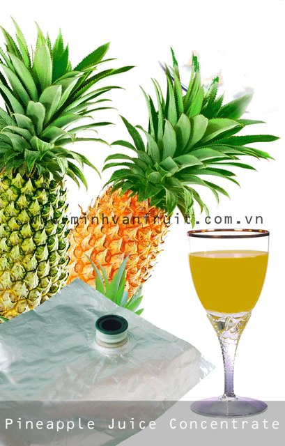 Pineapple Juice 1