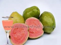 Pink Guava Puree 1