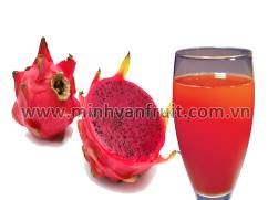 Red Dragon Fruit Puree with Seeds 1