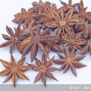 Star Aniseed 1
